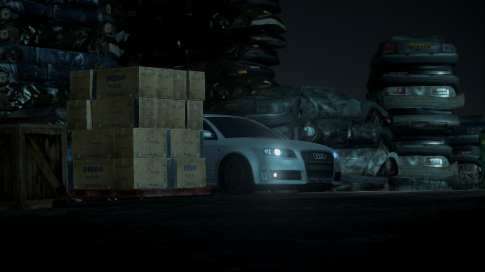 Need for Speed: The Run