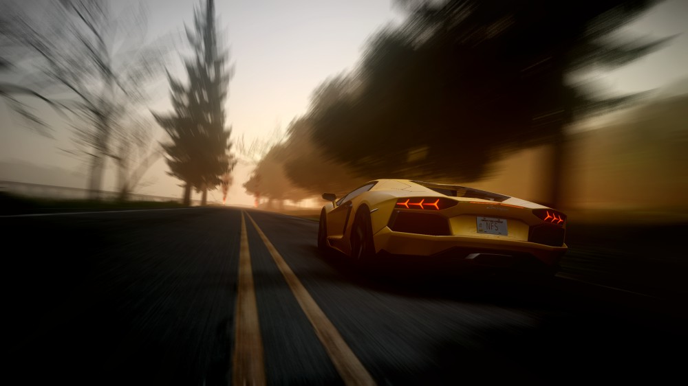 Need for Speed: The Run