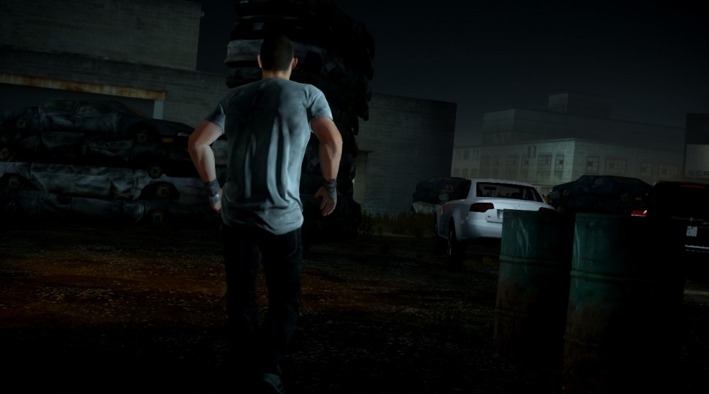 Need for Speed: The Run