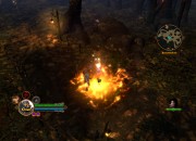 Dungeon Siege III screenshot