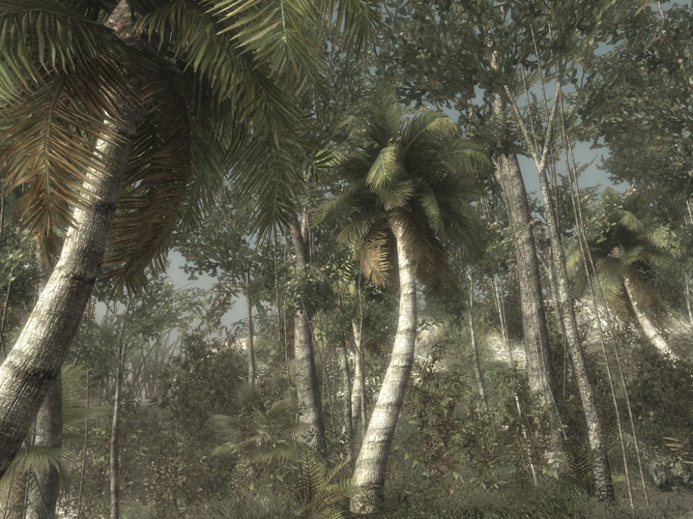 Call of Duty: World at War