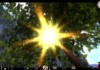 Call of Juarez