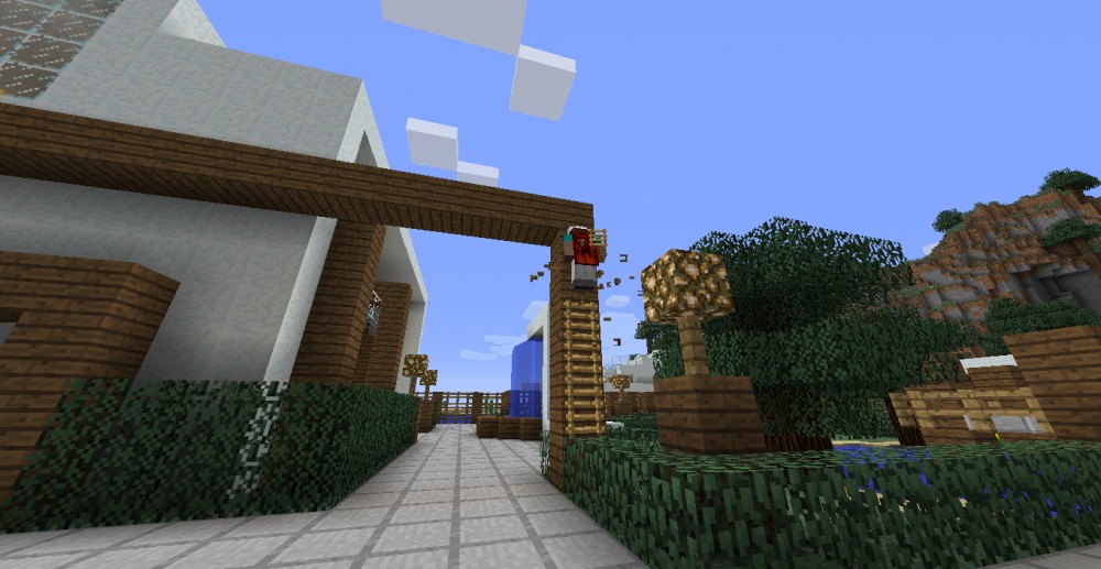 Minecraft
