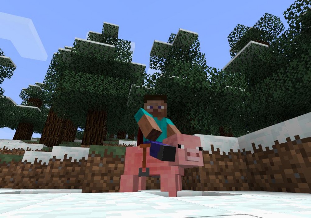 Minecraft