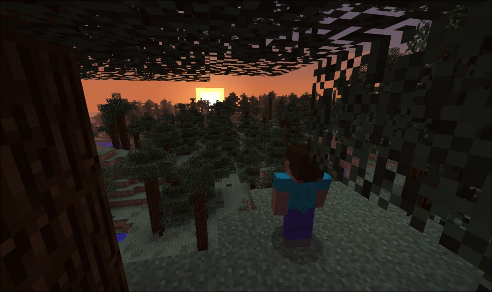 Minecraft