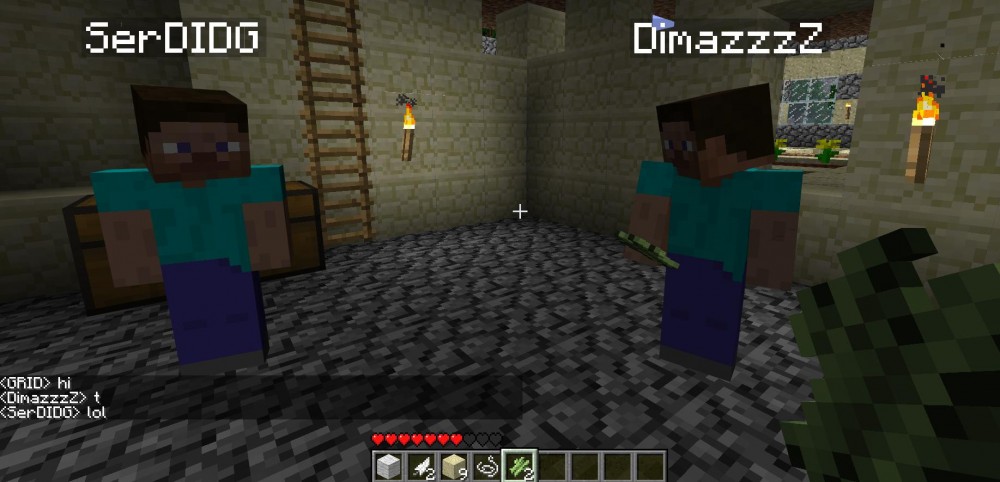 Minecraft