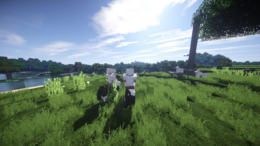 Minecraft