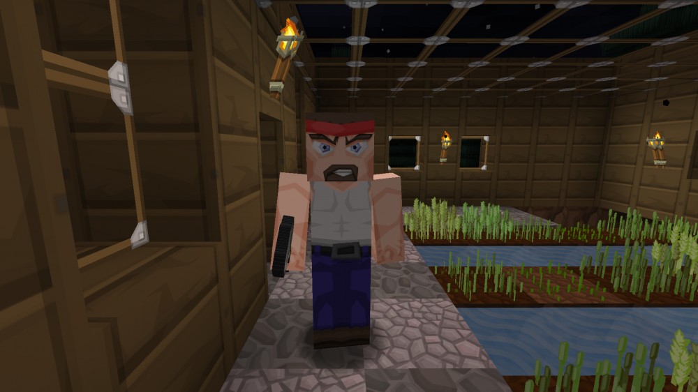 Minecraft