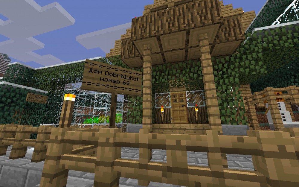 Minecraft