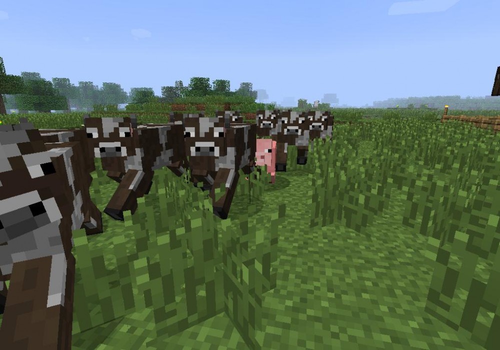 Minecraft