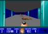 Wolfenstein 3D