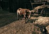 Call of Juarez: Bound in Blood