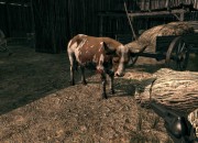 Call of Juarez: Bound in Blood