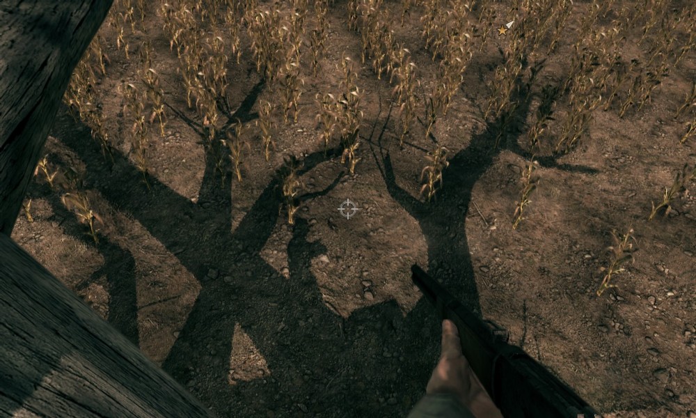 Call of Juarez: Bound in Blood