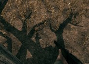 Call of Juarez: Bound in Blood