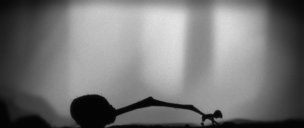 Limbo