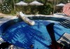 Dead Island