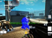 Syndicate