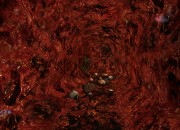 Arx Fatalis