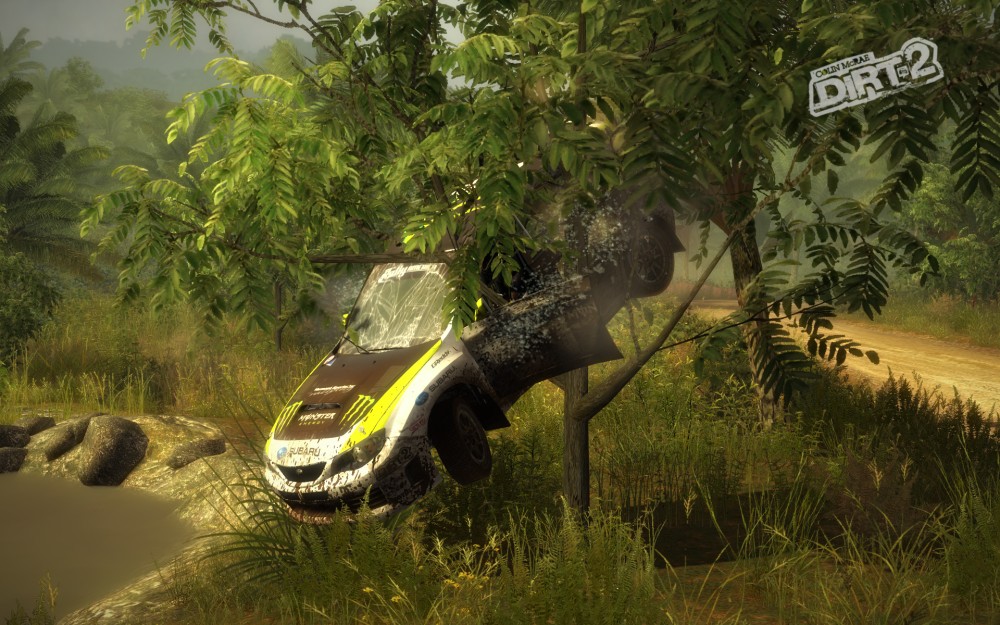 Colin McRae: DiRT 2