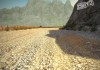 Colin McRae: DiRT 2