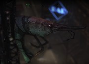 Batman: Arkham City