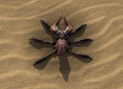 Serious Sam 3 screenshot