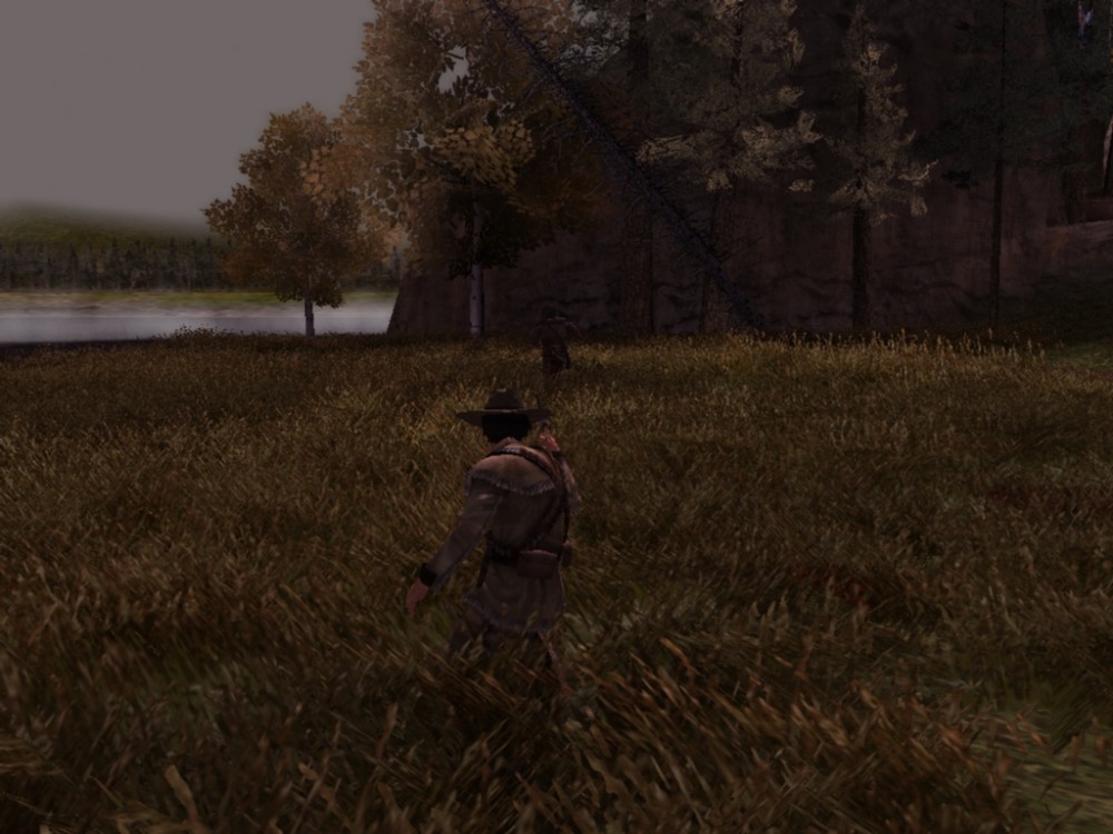 Gun