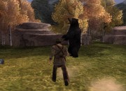 Gun screenshot