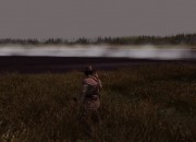 Gun screenshot