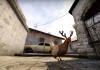 Counter Strike: Global Offensive