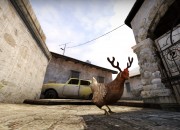 Counter Strike: Global Offensive