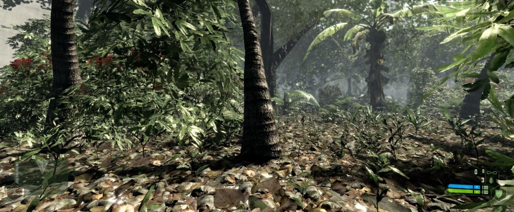 Crysis