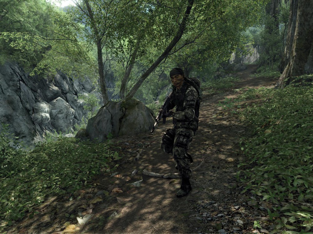 Crysis