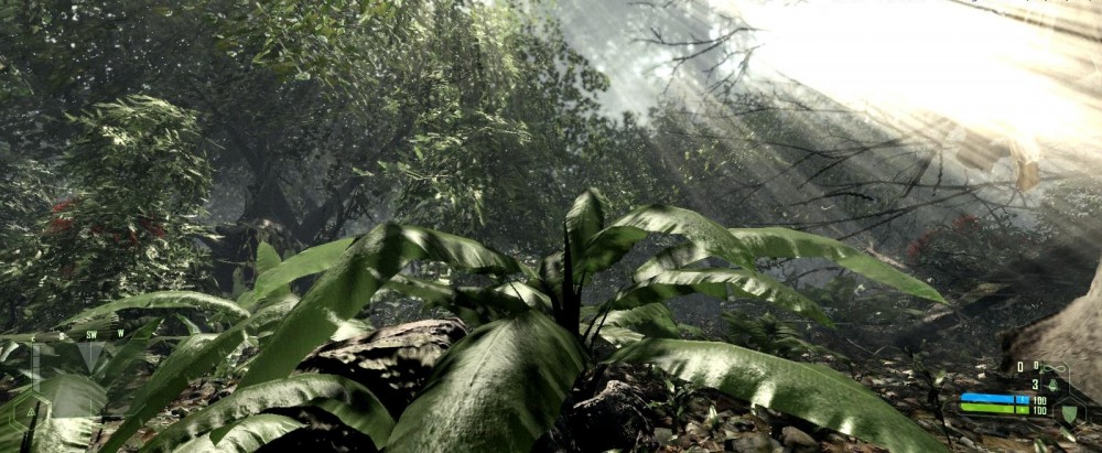 Crysis
