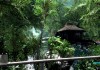 Crysis