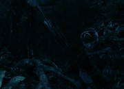 Crysis screenshot