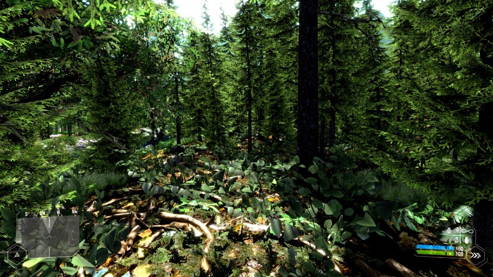 Crysis