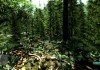 Crysis