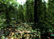 Crysis