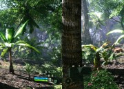 Crysis screenshot