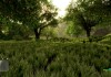 Crysis