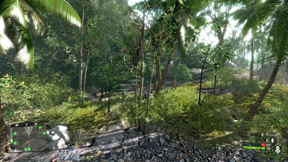 Crysis