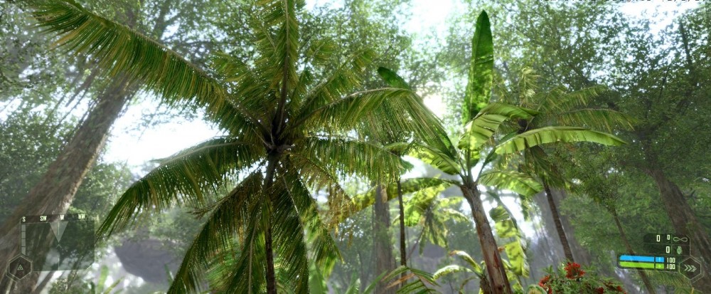 Crysis