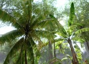 Crysis screenshot