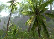 Crysis screenshot