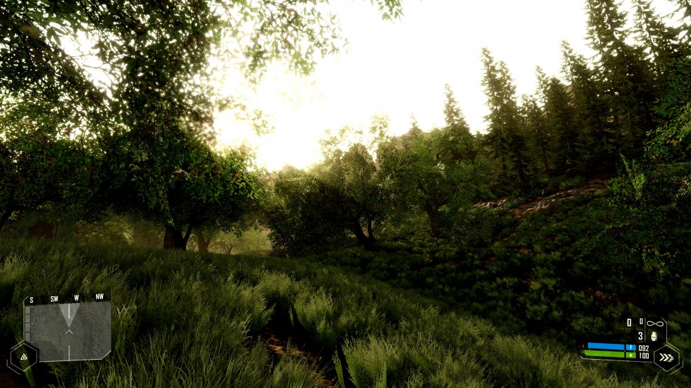 Crysis