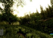 Crysis