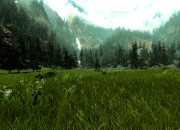 Crysis