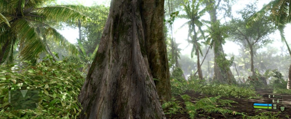 Crysis